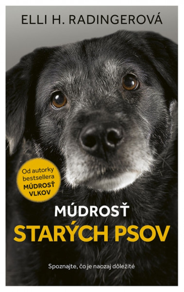 Múdrosť starých psov Múdrosť starých psov