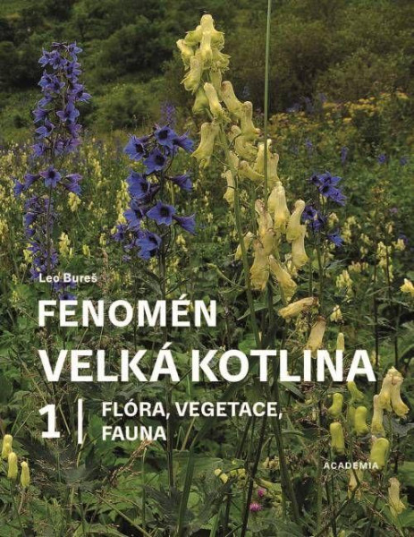 Fenomén Velká kotlina 1 - Flóra, vegetace, fauna