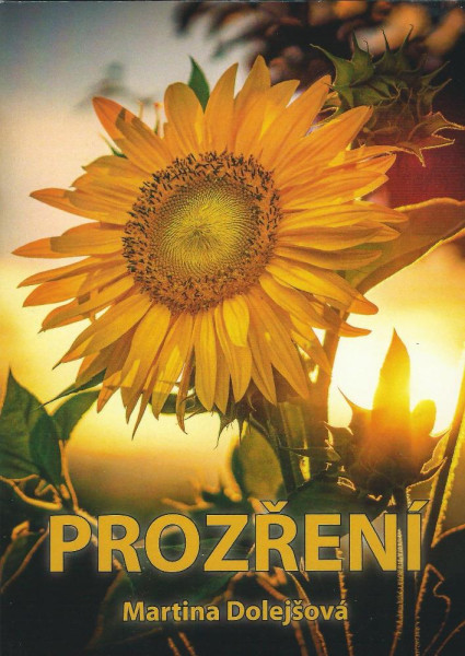 Prozření Prozření