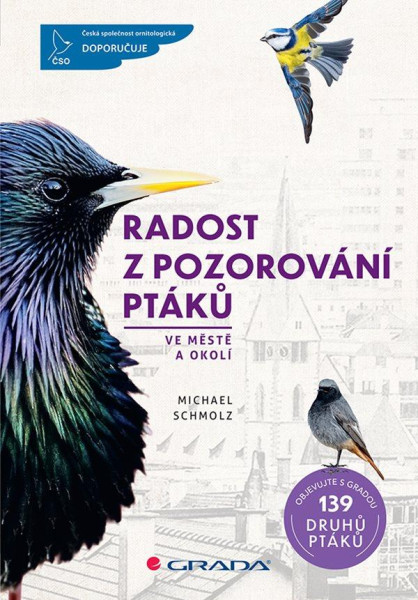 Radost z pozorování ptáků ve městě a oko