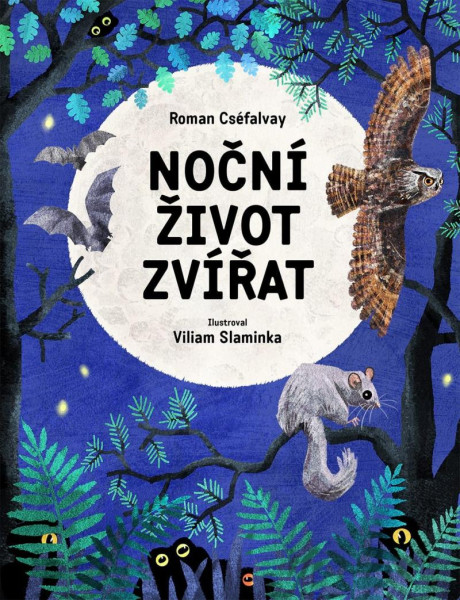 Noční život zvířat Noční život zvířat