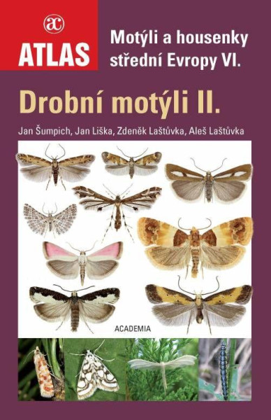 Drobní motýli II. - Motýli a housenky střední Evropy VI. Drobní motýli II. - Motýli a housenky střední Evropy VI.