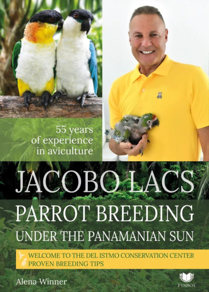 Parrot breeding unter the Panamanian Sun Parrot breeding unter the Panamanian Sun