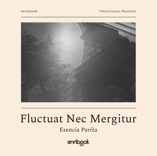 Fluctuat Nec Mergitur Fluctuat Nec Mergitur