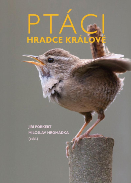 Ptáci Hradce Králové