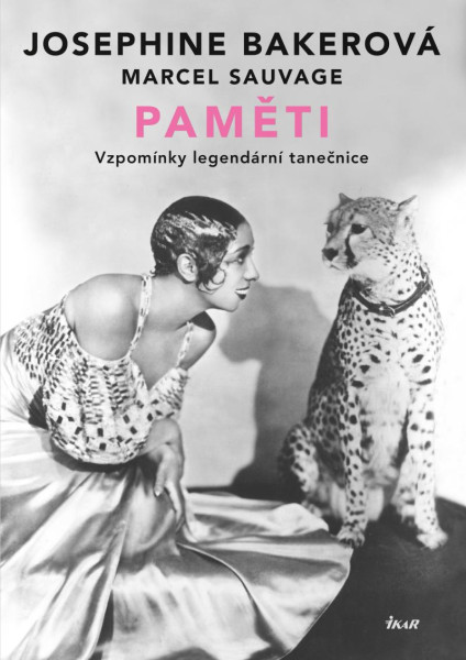 Paměti Paměti