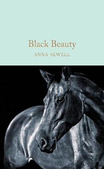 Black Beauty Black Beauty