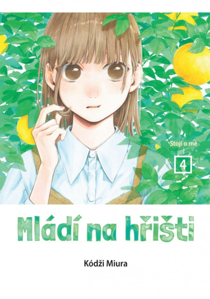 Mládí na hřišti 4: Stojí o mě Mládí na hřišti 4: Stojí o mě