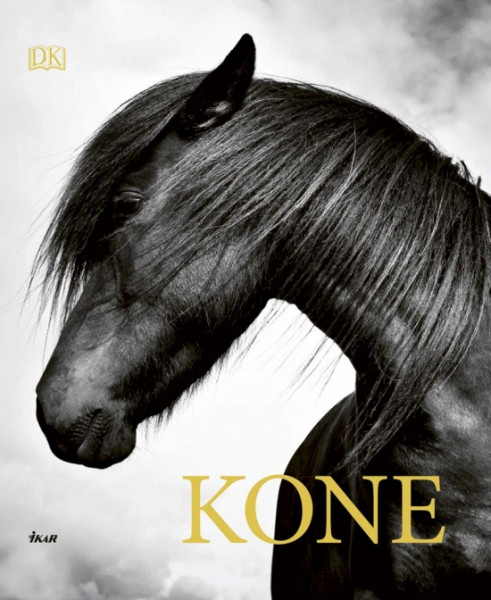 Kone Kone