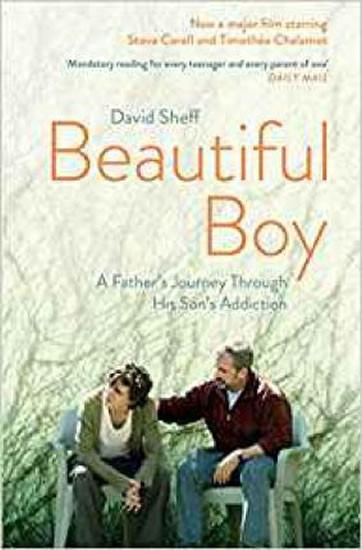 Beautiful Boy : A Father´s Journey Throu