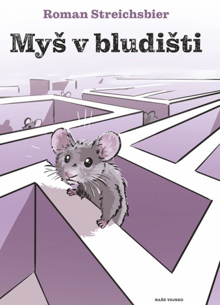 Myš v bludišti