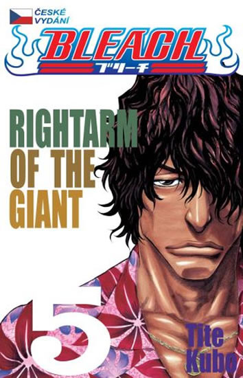 Bleach 5: Rightarm Of The Giant