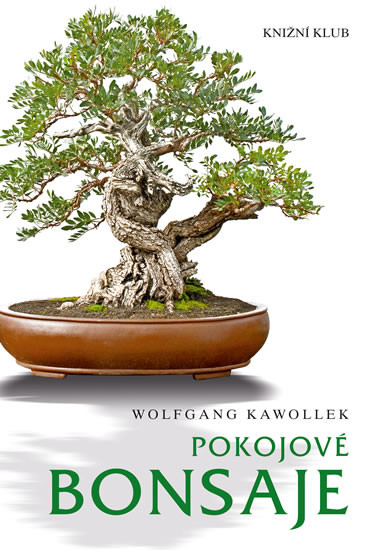 Pokojové bonsaje Pokojové bonsaje
