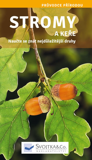 Stromy a keře - Naučte se znát nejdůležitější druhy Stromy a keře - Naučte se znát nejdůležitější druhy