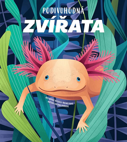 Podivuhodná zvířata Podivuhodná zvířata