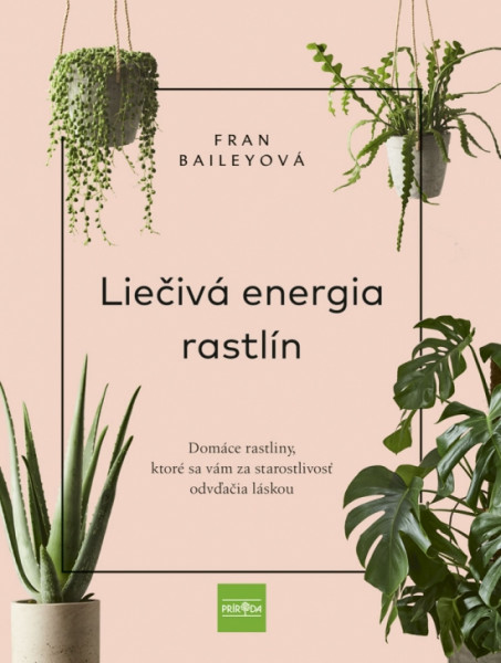 Liečivá energia rastlín - Domáce rastliny, ktoré sa vám za starostlivosť odvďačia láskou