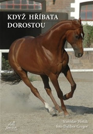 Když hříbata dorostou Když hříbata dorostou