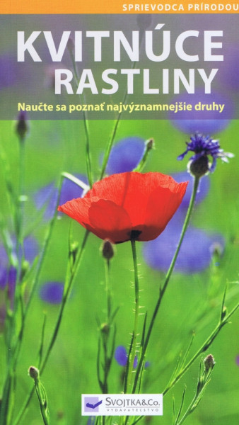 Kvitnúce rastliny Kvitnúce rastliny