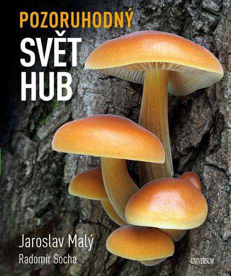 Pozoruhodný svět hub Pozoruhodný svět hub
