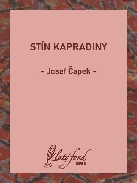 Stín kapradiny