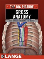 Gross Anatomy: Big Picture