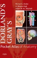 Dorland´s/Gray´s Pocket Atlas of Anatomy Dorland´s/Gray´s Pocket Atlas of Anatomy