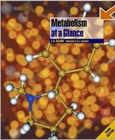 Metabolism at a Glance