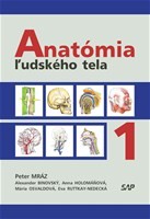 Anatómia ľudského tela 1 Anatómia ľudského tela 1