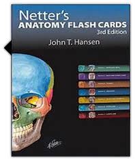 Netters Anatomy Flash Cards Netters Anatomy Flash Cards