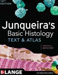 Junqueira´s Basic Histology Junqueira´s Basic Histology