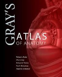 Gray´s Atlas of Anatomy Gray´s Atlas of Anatomy