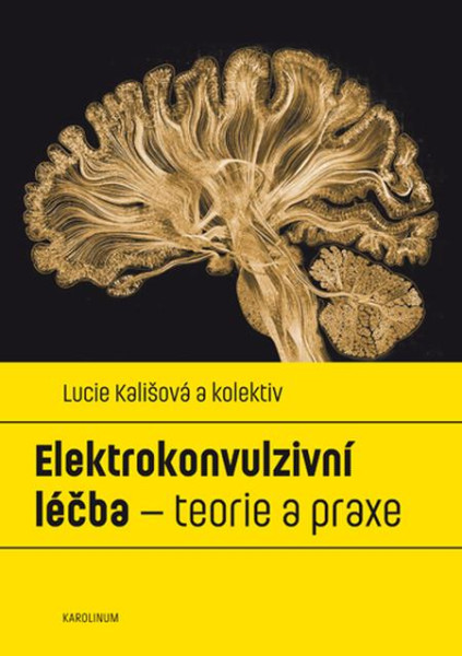 Elektrokonvulzivní léčba – teorie a praxe Elektrokonvulzivní léčba – teorie a praxe