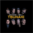 Tsunami ( 1xaudio na cd) Tsunami ( 1xaudio na cd)