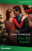 Úkol pro Popelku Úkol pro Popelku