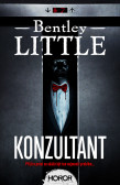 Konzultant Konzultant