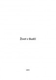 Život v Budči