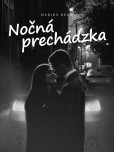 Nočná prechádzka Nočná prechádzka