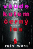 Všude kolem černý les