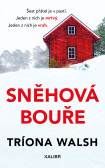 Sněhová bouře Sněhová bouře