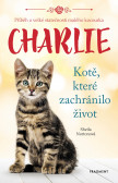 Charlie - kotě, které zachránilo život Charlie - kotě, které zachránilo život