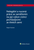 Nelegální a nucená práce se zaměřením na její výkon cizinci pocházejícími ze třetích zemí Nelegální a nucená práce se zaměřením na její výkon cizinci pocházejícími ze třetích zemí