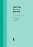 Central Nervous System Central Nervous System