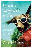 Umění závodit v dešti Umění závodit v dešti