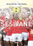 Sešívané srdce