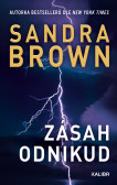 Zásah odnikud Zásah odnikud
