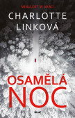 Osamělá noc Osamělá noc