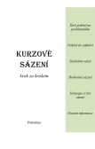 Kurzové sázení krok za krokem