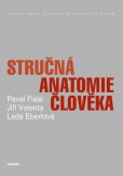 Stručná anatomie člověka Stručná anatomie člověka