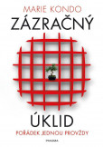 Zázračný úklid