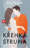 Křehká struna Křehká struna